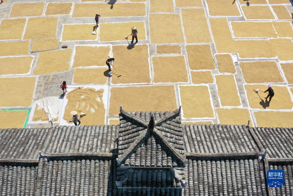 博贝棋牌官网多少